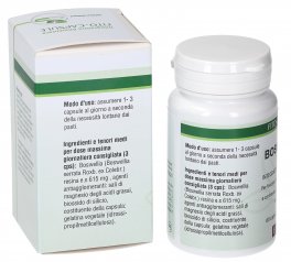 Boswellia - Capsule - 3