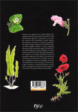 Botanica & Erbario — Libro - 2