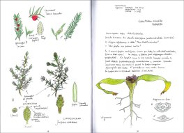Botanica & Erbario — Libro - 3