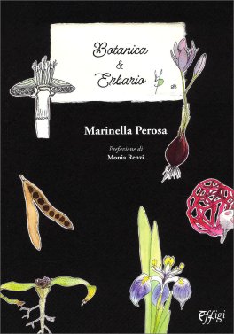 Botanica & Erbario — Libro - 1