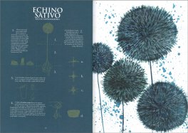 Botanica Fantastica — Libro - 3