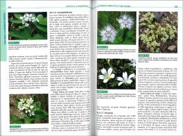 Botanica Generale e Diversità Vegetale — Libro - 3