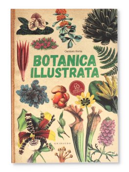 Botanica Illustrata — Libro - 1