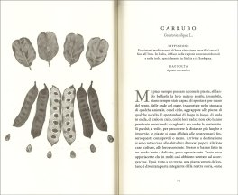 Botanica Nascosta — Libro - 3