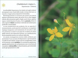 Botanica Urbana — Libro - 3