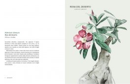 Botanica Urbana — Libro - 4
