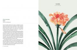 Botanica Urbana — Libro - 5