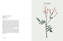Botanica Urbana — Libro - 6