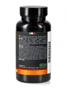 Botanical Mix - Kelp - 2