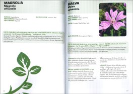 Botanicals — Libro - 3