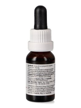 Bottlebrush - Essenza Floreale Australiana Singola - 2