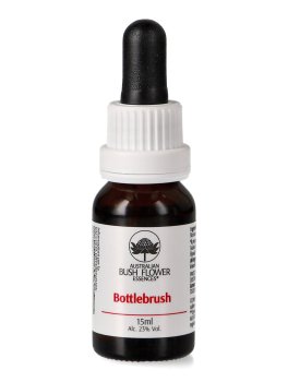 Bottlebrush - Essenza Floreale Australiana Singola - 1
