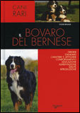 Il Bovaro del Bernese