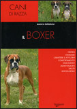 Il Boxer