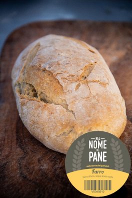 Pane di Farro