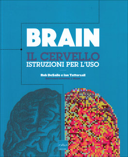 Brain  — Libro - 1