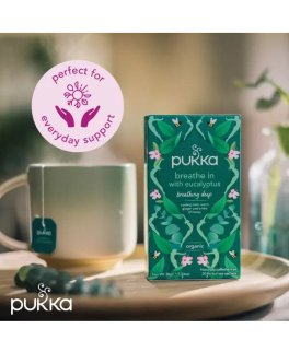 Breathe In - Tisana Pukka Bio - 4