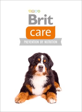 Brit Care Grain Free Senior & Light Salmone - 12Kg - 2