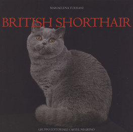 British Shorthair  — Libro - 1