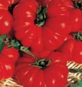 Bu078 - Pomodoro Costoluto Fiorentino - 0,3 g