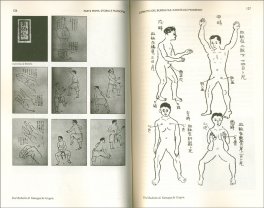Bubishi: l’Antica Arte Orientale di Combattere — Libro - 3