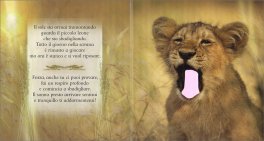Buona Notte! — Libro - 3