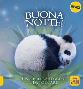 Buona Notte! — Libro - 1