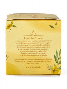 Buona Regola Bio - Tisana Biologica in Bustine - 3