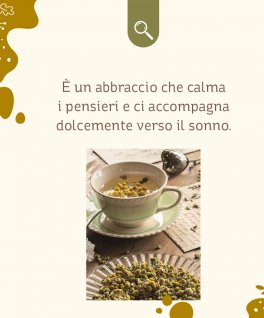 Buona Regola Bio - Tisana Biologica in Bustine - 9
