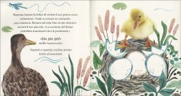 Buonanotte, Anatroccolo! — Libro - 3