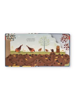Buongiorno, Pettirosso! — Libro - 2