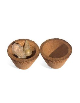 Burned Cups - Cialde a Coppetta - 5