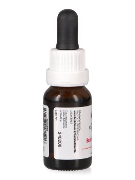 Bush Fuchsia - Essenza Floreale Australiana Singola - 3