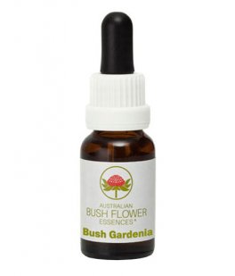 Bush Gardenia - Fiori australiani - 15 ml - 1