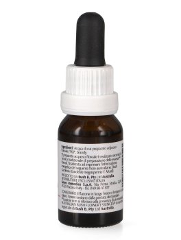 Bush Gardenia - Essenza Floreale Australiana Singola - 2