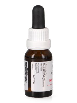 Bush Gardenia - Essenza Floreale Australiana Singola - 3