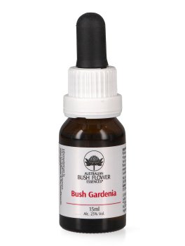 Bush Gardenia - Essenza Floreale Australiana Singola - 1