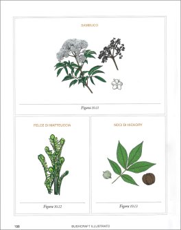 Bushcfaft Illustrato — Libro - 3