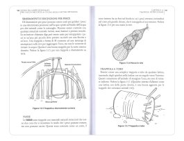 Bushcraft — Libro - 4