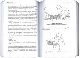 Bushcraft Primo Soccorso — Libro - 3