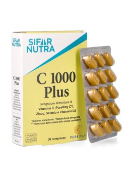 C 1000 Plus - 2