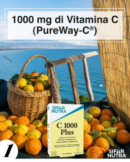 C 1000 Plus - 10