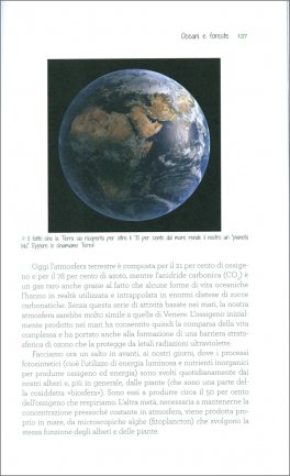 C'era una Volta il Bosco — Libro - 3