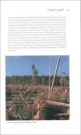 C'era una Volta il Bosco — Libro - 4