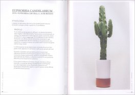 Cactus e Piante Grasse — Libro - 4