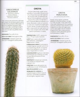 Cactus e Succulente — Libro - 3