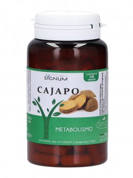 Cajapo - 1