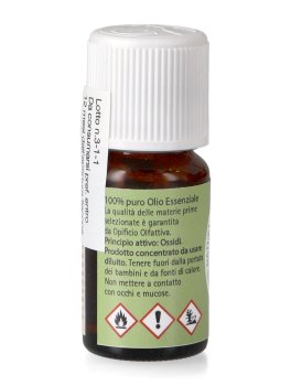 Cajeput - Olio Essenziale - 2