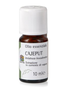 Cajeput - Olio Essenziale - 1