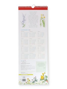 Calendario 2027 Fleurs per Colorare i Giorni — Calendario - 2